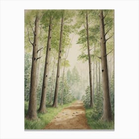 Path Through The Woods 4 Canvas Print