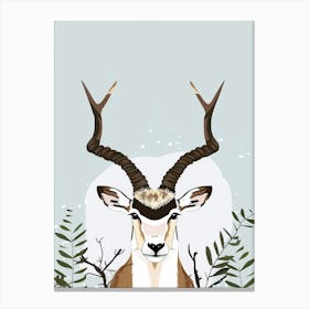 Antelope 21 Canvas Print