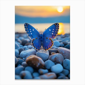 Blue Butterfly On Rocks At Sunset Canvas Print