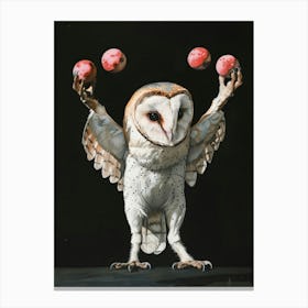 Barn Owl 4 Canvas Print