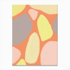 Sun stones Canvas Print