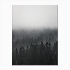 Layers Of Trees In Fog Canvas Print