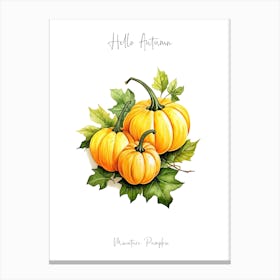 Hello Autumn Miniature Pumpkin Watercolour Illustration 4 Canvas Print