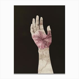 'The Hand' Canvas Print