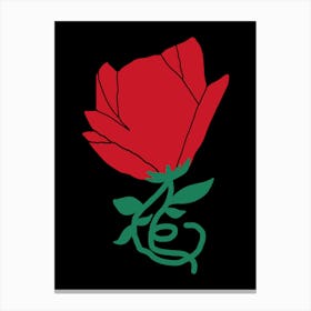 Rose red and black Canvas Print