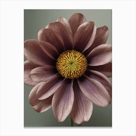 Purple Daisy Canvas Print Canvas Print