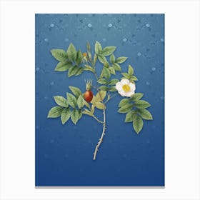 Vintage Mountain Rose Bloom Botanical on Bahama Blue Pattern n.0141 Canvas Print