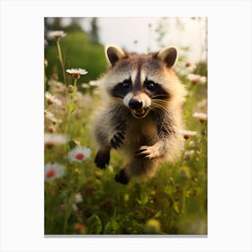 Cute Funny Honduran Raccoon Running On A Field Wild 4 Canvas Print