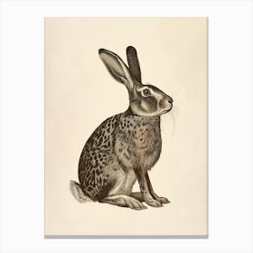 Belgian Hare Blockprint Illustration 9 Canvas Print