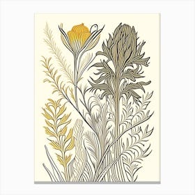 Turmeric Herb William Morris Inspired Line Drawing 3 Canvas Print