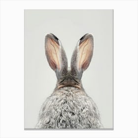 Rabbit'S Ears 1 Canvas Print