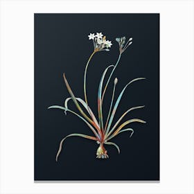 Vintage Allium Fragrans Botanical Watercolor Illustration on Dark Teal Blue n.0783 Canvas Print