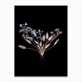 Stained Glass Starfruit Mosaic Botanical Illustration on Black n.0126 Canvas Print