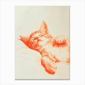 Cat Sleeping 1 Canvas Print