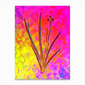 Iris Martinicensis Botanical in Acid Neon Pink Green and Blue Canvas Print