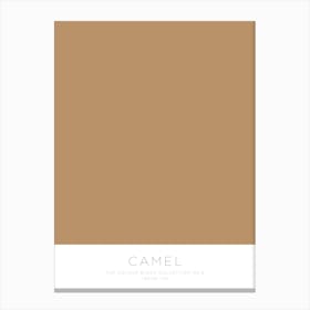 The Colour Block Collection - Camel Canvas Print