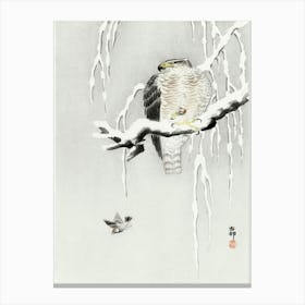 Hawk With Captured Ring Sparrow (1900 1930), Ohara Koson Canvas Print