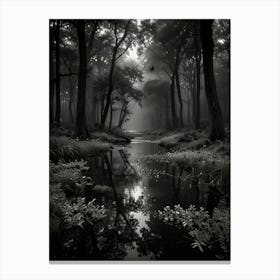 Dark Forest 2 Canvas Print