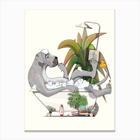 Great Dane In The Bath Canvas Print