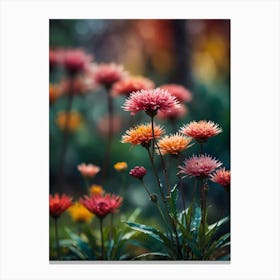 Chrysanthemums 1 Canvas Print