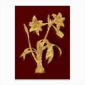 Vintage Brazilian Amaryllis Botanical in Gold on Red Canvas Print