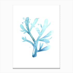 Watercolor Coral 1 Canvas Print