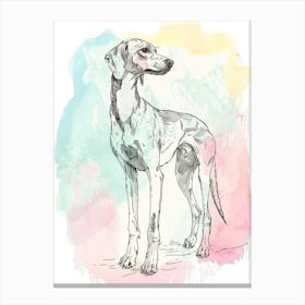 Pastel Saluki Dog Pastel Illustration 2 Canvas Print