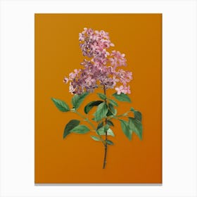 Vintage Chinese Lilac Botanical on Sunset Orange n.0360 Canvas Print