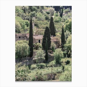 Cypresses On The Hill Canvas Print