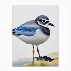 Grey Plover Watercolour Bird Canvas Print