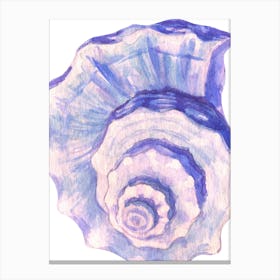 Seashell 4 Canvas Print