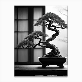 Bonsai Tree Elegantly Poised Ensconced Within A Tranquil Minimalist Setting Delicate Leaves Cascad Canvas Print