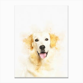 Golden Retriever Dog 3 Canvas Print