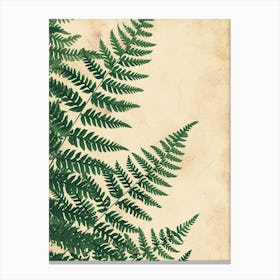 Pattern Poster Lady Fern 2 Canvas Print