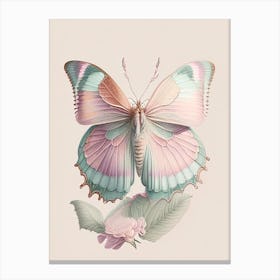 Gatekeeper Butterfly Vintage Pastel 2 Canvas Print