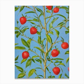 Strawberry Vintage Botanical Fruit Canvas Print