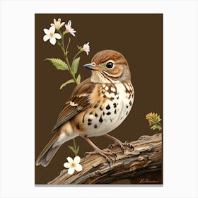 Robin With Flowers 3 Canvas Print