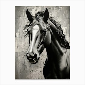 Horse Portrait 3 Canvas Print