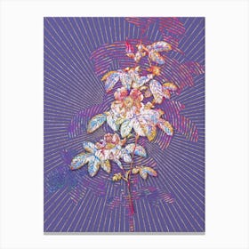 Geometric Single May Rose Mosaic Botanical Art on Veri Peri n.0115 Canvas Print
