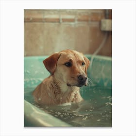 Dog In A Bath Canvas Print