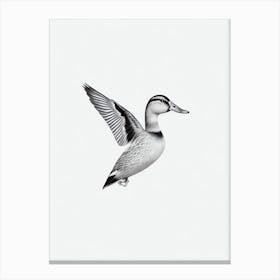 Mallard Duck B&W Pencil Drawing 2 Bird Canvas Print