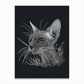 Devon Rex Cat Minimalist Illustration 1 Canvas Print