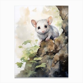 Adorable Chubby Urban Possum 3 Canvas Print