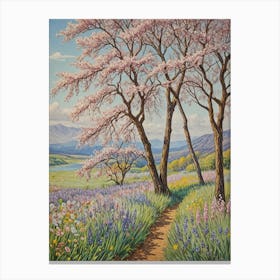 Cherry Blossoms 1 Canvas Print