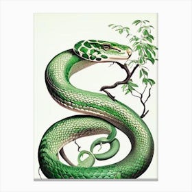 Green Tree Python Snake 1 Vintage Canvas Print