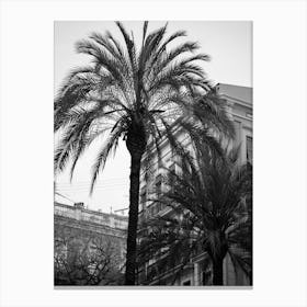 Buildings behind the Palms, Valencia | Black and White Photography 1 Canvas Print