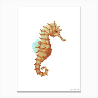 Japanese Seahorse Canvas Print