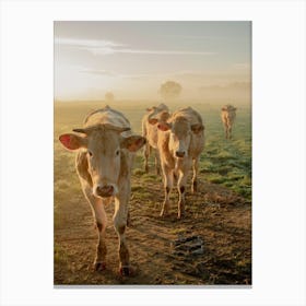 Close Encounters with the Cows Canvas Print