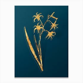 Vintage Gladiolus Cuspidatus Botanical in Gold on Teal Blue n.0193 Canvas Print