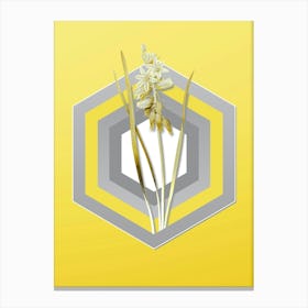Botanical Drooping Star of Bethlehem in Gray and Yellow Gradient n.260 Canvas Print
